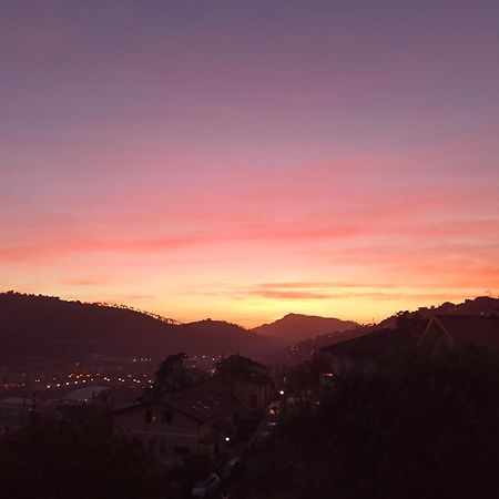 Il Glicine Cozy Appartamnent, Near Sestri Levante Between Cinque Terre E Portofino Casarza Ligure Zewnętrze zdjęcie