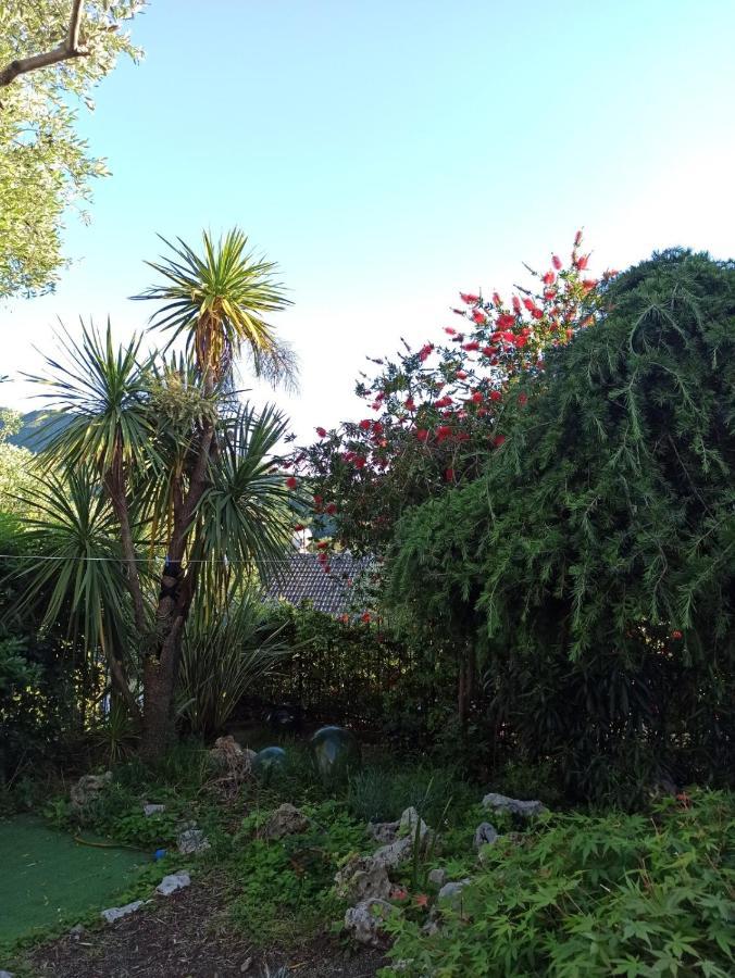Il Glicine Cozy Appartamnent, Near Sestri Levante Between Cinque Terre E Portofino Casarza Ligure Zewnętrze zdjęcie