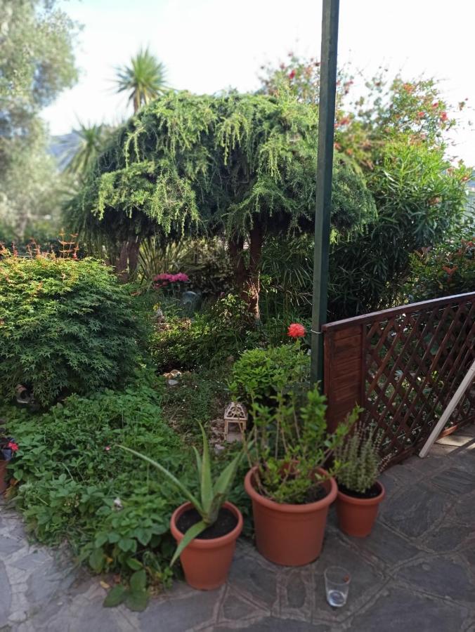 Il Glicine Cozy Appartamnent, Near Sestri Levante Between Cinque Terre E Portofino Casarza Ligure Zewnętrze zdjęcie
