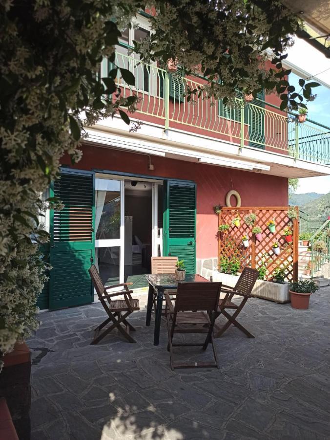 Il Glicine Cozy Appartamnent, Near Sestri Levante Between Cinque Terre E Portofino Casarza Ligure Zewnętrze zdjęcie