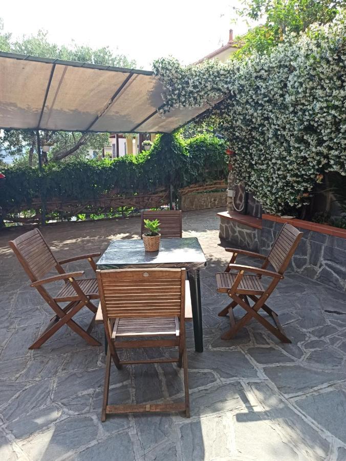 Il Glicine Cozy Appartamnent, Near Sestri Levante Between Cinque Terre E Portofino Casarza Ligure Zewnętrze zdjęcie