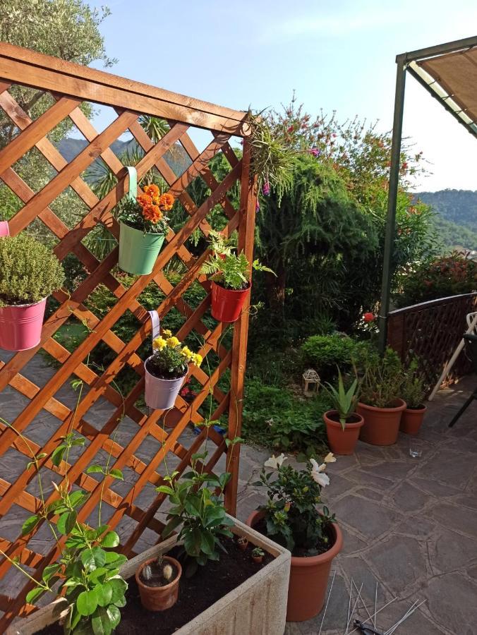 Il Glicine Cozy Appartamnent, Near Sestri Levante Between Cinque Terre E Portofino Casarza Ligure Zewnętrze zdjęcie