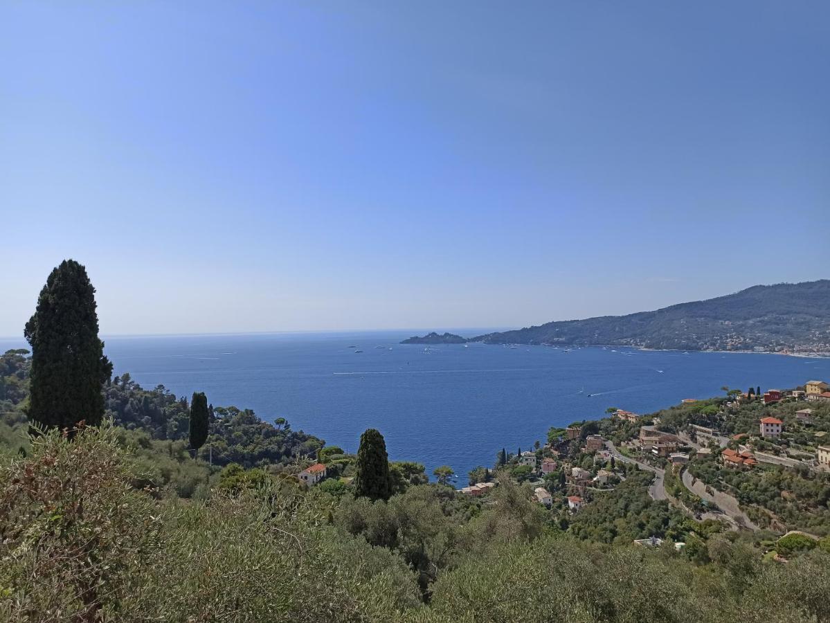 Il Glicine Cozy Appartamnent, Near Sestri Levante Between Cinque Terre E Portofino Casarza Ligure Zewnętrze zdjęcie
