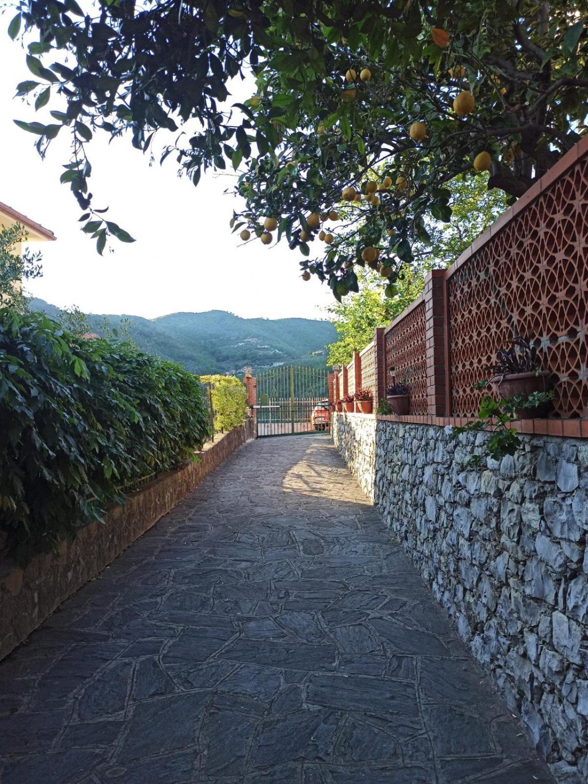 Il Glicine Cozy Appartamnent, Near Sestri Levante Between Cinque Terre E Portofino Casarza Ligure Zewnętrze zdjęcie