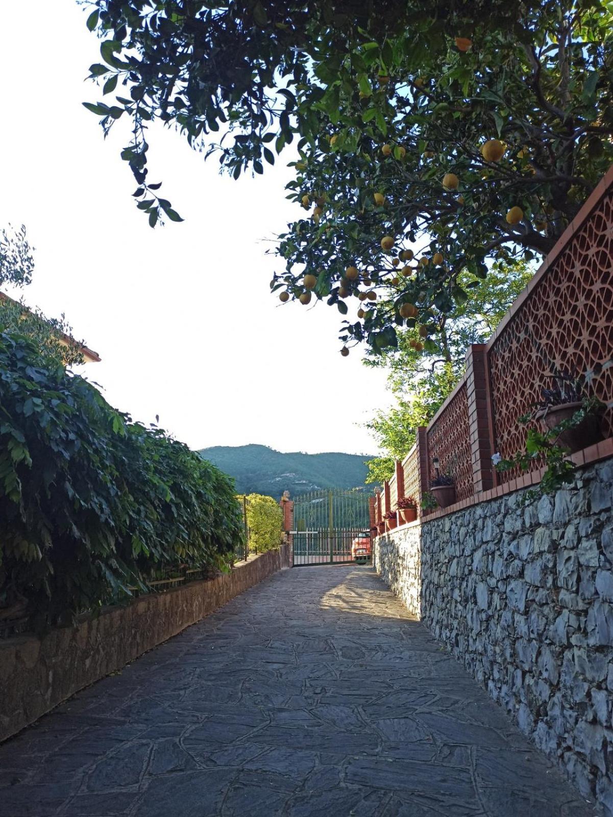 Il Glicine Cozy Appartamnent, Near Sestri Levante Between Cinque Terre E Portofino Casarza Ligure Zewnętrze zdjęcie